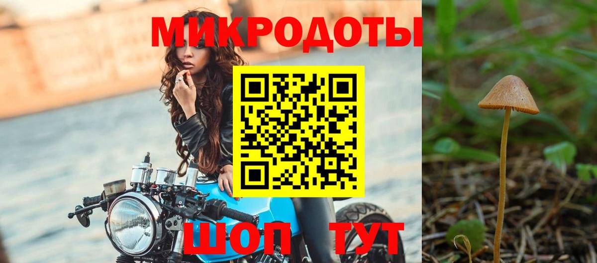 Псилоцибиновые грибы Psilocybine cubensis Надым